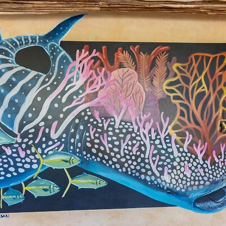 מלון הולבוקס איילנד Ocean View Loft In Punta Cocos - D102 מראה חיצוני תמונה